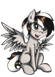 Size: 1162x1611 | Tagged: safe, artist:canvymamamoo, derpibooru import, oc, oc:raxella gessu, pony, derpibooru community collaboration, 2022, 2022 community collab, folded wings, image, male, open mouth, png, simple background, sitting, smiling, solo, solo male, spread wings, stallion, standing, transparent background, wings