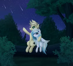 Size: 3000x2700 | Tagged: safe, artist:palibrik, derpibooru import, oc, unofficial characters only, pegasus, pony, duo, female, forest, image, male, night, pegasus oc, png, shooting star, stargazing, tree, wings