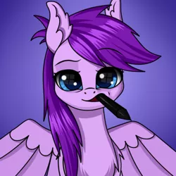 Size: 500x500 | Tagged: safe, artist:palibrik, derpibooru import, oc, oc:purple brush, unofficial characters only, pegasus, pony, female, image, mouth hold, pegasus oc, png, solo, wings