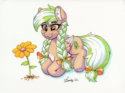 Size: 3581x2682 | Tagged: safe, artist:dandy, derpibooru import, oc, oc:sylvia evergreen, unofficial characters only, pegasus, pony, :3, braided pigtails, chest fluff, ear fluff, female, flower, freckles, hair tie, image, lying down, pegasus oc, png, solo, traditional art, wings