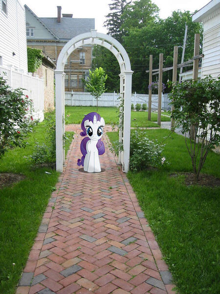 Size: 600x800 | Tagged: safe, artist:willyvwj, derpibooru import, rarity, pony, unicorn, female, image, irl, jpeg, looking at you, photo, ponies in real life