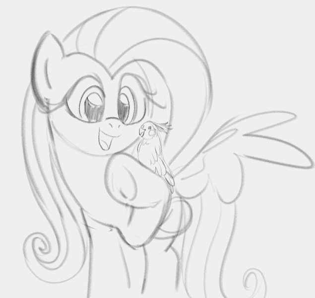 Size: 828x782 | Tagged: safe, artist:dotkwa, derpibooru import, fluttershy, bird, cockatiel, pegasus, pony, female, gray background, grayscale, image, mare, monochrome, open mouth, open smile, png, simple background, sketch, smiling, solo, spread wings, underhoof, wings