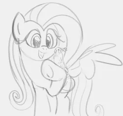 Size: 828x782 | Tagged: safe, artist:dotkwa, derpibooru import, fluttershy, bird, cockatiel, pegasus, pony, female, gray background, grayscale, image, mare, monochrome, open mouth, open smile, png, simple background, sketch, smiling, solo, spread wings, underhoof, wings