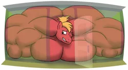 Size: 1211x662 | Tagged: suggestive, artist:urkel, derpibooru import, big macintosh, anthro, fetish, great macintosh, gritted teeth, growth, image, male, muscle expansion, muscle fetish, muscle growth, muscles, one eye closed, overdeveloped muscles, png, simple background, solo, solo male