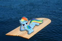 Size: 1600x1067 | Tagged: safe, artist:willyvwj, derpibooru import, rainbow dash, pegasus, pony, bedroom eyes, female, image, irl, jpeg, mare, photo, ponies in real life, water