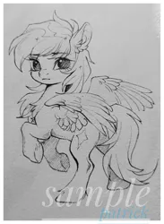 Size: 1499x2048 | Tagged: safe, artist:paipaishuaige, derpibooru import, oc, unofficial characters only, pegasus, pony, chest fluff, image, jpeg, looking at you, looking back, looking back at you, solo, spread wings, traditional art, wings