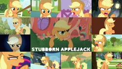 Size: 1280x721 | Tagged: safe, derpibooru import, edit, edited screencap, editor:quoterific, screencap, applejack, fluttershy, twilight sparkle, earth pony, pegasus, pony, applebuck season, applejack's "day" off, bats!, dragon dropped, going to seed, honest apple, keep calm and flutter on, look before you sleep, magic duel, ppov, season 1, season 3, season 4, season 6, season 7, season 8, season 9, sounds of silence, the washouts (episode), trade ya, spoiler:s08, spoiler:s09, angry, apple, applejack is not amused, applejack's hat, carousel boutique, cowboy hat, crossed hooves, eyes closed, female, food, golden oaks library, hat, image, library, mare, offscreen character, open mouth, png, solo focus, tree, unamused