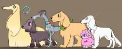 Size: 1240x499 | Tagged: safe, artist:justthemiles, derpibooru import, applejack, fluttershy, pinkie pie, rainbow dash, rarity, twilight sparkle, cocker spaniel, dog, poodle, afghan hound, brown background, dogified, female, greyhound, image, irish setter, jpeg, labrador, mane six, simple background, species swap