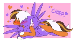 Size: 2100x1200 | Tagged: suggestive, artist:ponynamedmixtape, derpibooru import, oc, oc:infinatus amor, oc:mixtape, earth pony, pegasus, pony, blushing, cuddling, gay, grooming, holding hooves, image, lying down, male, males only, nuzzling, png, preening, size difference, spooning, tail holding, unshorn fetlocks, wings