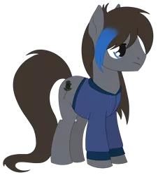 Size: 1672x1849 | Tagged: safe, alternate version, artist:dyonys, derpibooru import, oc, oc:shadow rose, earth pony, pony, clothes, hoodie, image, male, png, simple background, stallion, transparent background