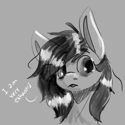 Size: 1282x1283 | Tagged: safe, artist:aliceg, derpibooru import, oc, oc:floor bored, unofficial characters only, earth pony, pony, /mlp/, dialogue, female, gray background, grayscale, image, looking sideways, mare, monochrome, open mouth, png, relatable, simple background, solo