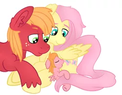 Size: 2044x1600 | Tagged: safe, artist:bewarethemusicman, derpibooru import, edit, big macintosh, fluttershy, oc, oc:little darlin', earth pony, pegasus, pony, baby, baby pony, cropped, family, female, filly, fluttermac, foal, freckles, image, male, mare, offspring, parent:big macintosh, parent:fluttershy, parents:fluttermac, png, shipping, simple background, sleeping, stallion, straight, white background