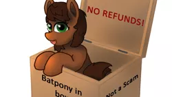 Size: 1920x1080 | Tagged: safe, artist:puginpocket, derpibooru import, oc, oc:scarfy bat-heart, earth pony, pony, box, brown mane, delivery, female, green eyes, image, mare, png, pony in a box, scam, solo, solo female