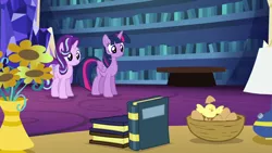 Size: 1920x1080 | Tagged: safe, derpibooru import, screencap, starlight glimmer, twilight sparkle, twilight sparkle (alicorn), alicorn, every little thing she does, book, chick, egg, flower, image, library, png, twilight's castle, twilight's castle library