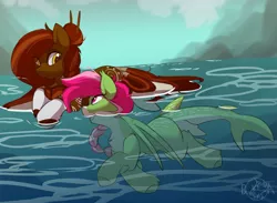 Size: 3136x2300 | Tagged: safe, artist:beardie, derpibooru import, oc, oc:teuila, unofficial characters only, okapi, original species, shark, shark pony, cute, image, looking at each other, looking at someone, png, surfboard, swimming, water