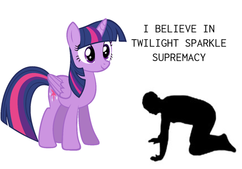 Size: 844x590 | Tagged: safe, derpibooru import, twilight sparkle, twilight sparkle (alicorn), alicorn, human, pony, duo, female, image, mare, meme, png, simple background, supremacy, supremacy meme, text, truth, white background