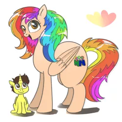 Size: 1000x1000 | Tagged: safe, artist:candyclumsy, derpibooru import, oc, oc:candy clumsy, oc:rainbow candy, oc:rainbow tashie, oc:tommy the human, alicorn, earth pony, pegasus, pony, alicorn oc, butt, child, colt, cutie mark, female, foal, fusion, fusion:rainbow candy, horn, image, large butt, male, mare, nintendo, nintendo 64, png, reference sheet, wings