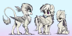 Size: 1657x829 | Tagged: safe, artist:xbi, derpibooru import, gabby, rainbow dash, spitfire, gryphon, pegasus, pony, folded wings, gradient background, image, jpeg, partial color, sketch, slender, thin, wings
