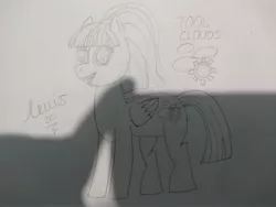 Size: 4160x3120 | Tagged: safe, artist:lewis20, derpibooru import, oc, oc:tool clouds, unofficial characters only, pegasus, pony, derpibooru community collaboration, 2022 community collab, cute, derpibooru exclusive, female, image, jpeg, pegasus oc, solo, talking, wings