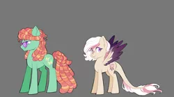 Size: 1650x922 | Tagged: safe, artist:merdiia, derpibooru import, oc, unofficial characters only, earth pony, hybrid, pegasus, pony, duo, earth pony oc, female, gray background, image, interspecies offspring, male, mare, offspring, parent:discord, parent:fluttershy, parent:tree hugger, parent:zephyr breeze, parents:discoshy, parents:zephyrhugger, pegasus oc, png, simple background, stallion, story included, sunglasses, wings