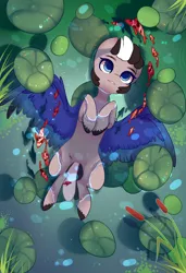 Size: 1300x1900 | Tagged: safe, alternate version, artist:nazori, derpibooru import, oc, unofficial characters only, fish, pegasus, pony, alternate character, commission, featureless crotch, image, lilypad, lying down, on back, outdoors, pegasus oc, png, pond, reed, solo, spread wings, unshorn fetlocks, water, wings, ych result