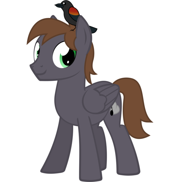 Size: 1500x1500 | Tagged: safe, artist:the smiling pony, derpibooru import, oc, oc:wingbeat, unofficial characters only, bird, pegasus, pony, derpibooru community collaboration, .svg available, 2022 community collab, blackbird, brown mane, brown tail, folded wings, full body, green eyes, image, looking at you, male, pegasus oc, png, show accurate, simple background, smiling, smiling at you, solo, stallion, standing, tail, three quarter view, transparent background, vector, wings