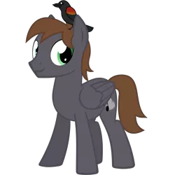 Size: 1500x1500 | Tagged: safe, artist:the smiling pony, derpibooru import, oc, oc:wingbeat, unofficial characters only, bird, pegasus, pony, derpibooru community collaboration, .svg available, 2022 community collab, blackbird, brown mane, brown tail, folded wings, full body, green eyes, image, looking at you, male, pegasus oc, png, show accurate, simple background, smiling, smiling at you, solo, stallion, standing, tail, three quarter view, transparent background, vector, wings