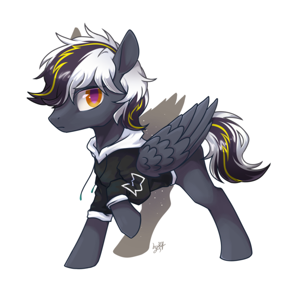 Size: 1300x1300 | Tagged: artist needed, safe, derpibooru import, oc, unofficial characters only, pegasus, pony, derpibooru community collaboration, 2022 community collab, clothes, folded wings, full body, hoodie, hooves up, image, looking at you, male, multicolored hair, multicolored mane, multicolored tail, pegasus oc, png, raised hoof, signature, simple background, solo, standing, tail, three quarter view, transparent background, wings