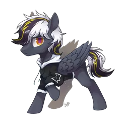 Size: 1300x1300 | Tagged: artist needed, safe, derpibooru import, oc, unofficial characters only, pegasus, pony, derpibooru community collaboration, 2022 community collab, clothes, folded wings, full body, hoodie, hooves up, image, looking at you, male, multicolored hair, multicolored mane, multicolored tail, pegasus oc, png, raised hoof, signature, simple background, solo, standing, tail, three quarter view, transparent background, wings