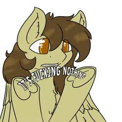 Size: 4000x4000 | Tagged: safe, artist:dirtpecker, derpibooru import, oc, oc:static spark, unofficial characters only, pegasus, pony, image, png, solo, swearing, unamused, vulgar, wings