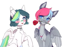 Size: 2634x1944 | Tagged: safe, artist:miioko, derpibooru import, oc, unofficial characters only, pegasus, pony, colored wings, duo, ear piercing, flower, flower in mouth, image, jewelry, mouth hold, necklace, oc x oc, open mouth, pegasus oc, piercing, png, raised hoof, rose, shipping, simple background, transparent background, two toned wings, wings