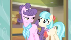 Size: 1920x1080 | Tagged: safe, derpibooru import, screencap, coco pommel, suri polomare, earth pony, pony, rarity takes manehattan, season 4, duo, duo female, eye contact, female, grin, image, lidded eyes, looking at each other, looking at someone, mare, png, smiling