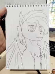 Size: 1623x2160 | Tagged: safe, artist:hory, derpibooru import, oc, oc:hory, bat pony, pony, bust, image, jpeg, male, monochrome, simple background, sketch, solo, traditional art, transparent background, wings