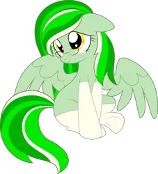 Size: 4675x5157 | Tagged: safe, artist:natusoulsilver, derpibooru import, oc, oc:salad dressing, pegasus, pony, derpibooru community collaboration, 2022 community collab, clothes, glasses, image, pegasus oc, png, socks, wings