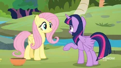 Size: 1920x1080 | Tagged: safe, derpibooru import, screencap, fluttershy, twilight sparkle, twilight sparkle (alicorn), alicorn, pegasus, pony, memnagerie, spoiler:memnagerie, spoiler:mlp friendship is forever, 9now, bowl, duo, duo female, female, folded wings, image, outdoors, png, river, sweet feather sanctuary, water, wings