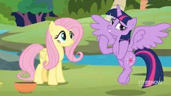 Size: 1920x1080 | Tagged: safe, derpibooru import, screencap, fluttershy, twilight sparkle, twilight sparkle (alicorn), alicorn, pegasus, pony, memnagerie, spoiler:memnagerie, spoiler:mlp friendship is forever, 9now, bowl, duo, duo female, female, flying, folded wings, image, outdoors, png, river, spread wings, sweet feather sanctuary, water, wings