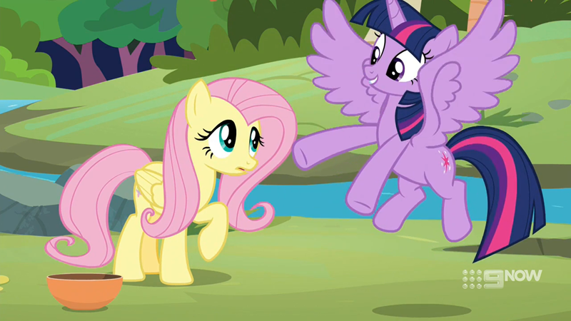 Size: 1920x1080 | Tagged: safe, derpibooru import, screencap, fluttershy, twilight sparkle, twilight sparkle (alicorn), alicorn, pegasus, pony, memnagerie, spoiler:memnagerie, spoiler:mlp friendship is forever, 9now, bowl, duo, duo female, female, flying, folded wings, image, outdoors, png, raised hoof, river, spread wings, sweet feather sanctuary, water, wings