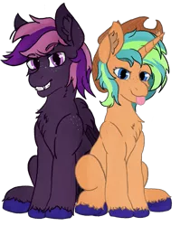 Size: 1527x1920 | Tagged: safe, artist:levinerex, derpibooru import, oc, oc:astonish moon, oc:grappe moon, unofficial characters only, pegasus, pony, unicorn, derpibooru community collaboration, 2022 community collab, duo, freckles, image, png, sitting