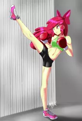Size: 3077x4500 | Tagged: safe, artist:danmakuman, apple bloom, human, equestria girls, boxing gloves, clothes, humanized, image, png, shorts, solo