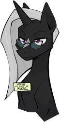 Size: 809x1635 | Tagged: safe, artist:dar, derpibooru import, oc, unofficial characters only, unicorn, fanfic:song of seven, clothes, facial markings, glasses, horn, image, jewelry, name tag, necklace, png, silver hair, text, unicorn oc