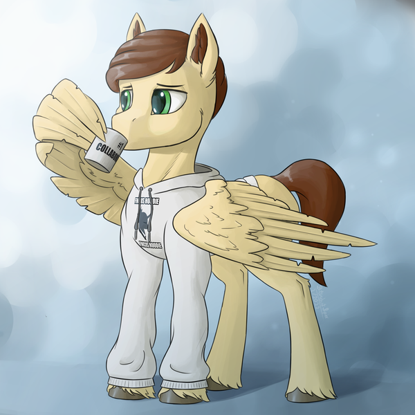 Size: 3000x3000 | Tagged: safe, artist:stardustspix, derpibooru import, oc, oc:finicus, oc:second wind, unofficial characters only, pegasus, pony, equestria at war mod, abstract background, brown mane, clothes, ear fluff, hoodie, image, lidded eyes, looking to the left, mug, png, sideways glance, solo, standing, unshorn fetlocks, wing hands, wings