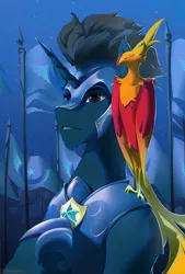 Size: 2200x3262 | Tagged: safe, artist:littlepolly, derpibooru import, oc, oc:slashing prices, unofficial characters only, phoenix, pony, unicorn, armor, badge, bust, eyebrows, flag, flag pole, folded wings, helmet, hoof shoes, horn, image, jpeg, male, night, outdoors, portrait, royal guard, royal guard armor, solo, stallion, stars, tack, unicorn oc, wings