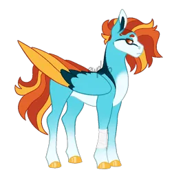 Size: 800x800 | Tagged: safe, artist:ewpluto, derpibooru import, oc, unofficial characters only, pegasus, pony, bandage, colored hooves, colored wings, colored wingtips, female, image, magical lesbian spawn, mare, offspring, parent:rainbow dash, parent:spitfire, parents:spitdash, png, simple background, solo, transparent background, wings