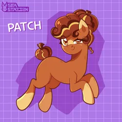 Size: 2000x2000 | Tagged: safe, artist:seasemissary, derpibooru import, oc, oc:patch, earth pony, pony, female, image, mare, png, solo