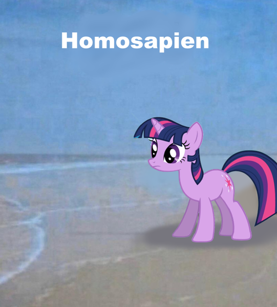 Size: 624x692 | Tagged: source needed, safe, derpibooru import, twilight sparkle, pony, unicorn, female, homo sapien, image, man, mare, meme, png, ponified meme, solo, unicorn twilight