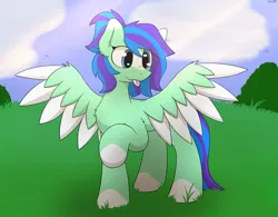 Size: 3212x2500 | Tagged: safe, artist:monycaalot, derpibooru import, oc, oc:star breeze, unofficial characters only, pegasus, pony, art trade, cloud, cute, female, full body, grass, image, pegasus oc, png, spread wings, wings