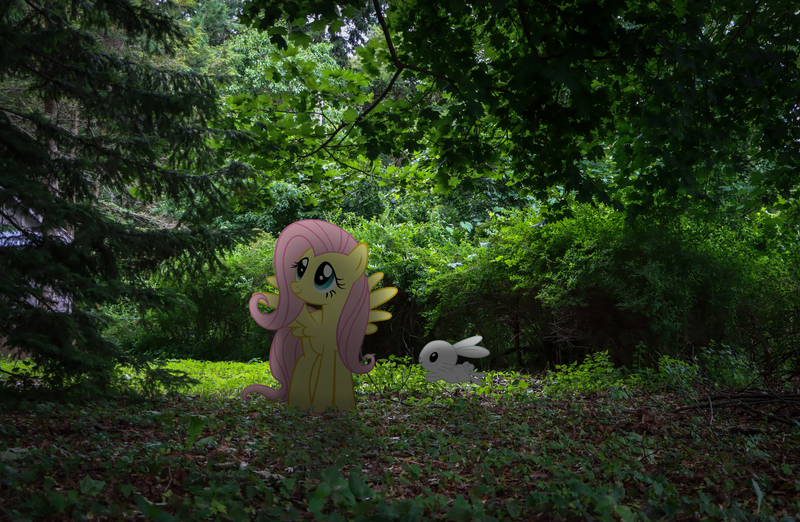 Size: 6852x4467 | Tagged: safe, derpibooru import, edit, vector edit, angel bunny, fluttershy, pegasus, pony, rabbit, animal, caption, female, forest, g4, image, image macro, irl, jpeg, mare, photo, ponies in real life, text, tree, vector