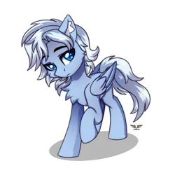 Size: 2500x2500 | Tagged: safe, artist:leah minik, derpibooru import, oc, unofficial characters only, pegasus, pony, blue eyes, chest fluff, commission, eyebrows, eyebrows visible through hair, folded wings, full body, image, looking at you, male, pegasus oc, png, raised hoof, sad, sad face, simple background, solo, stallion, tail, white background, white mane, white tail, wings