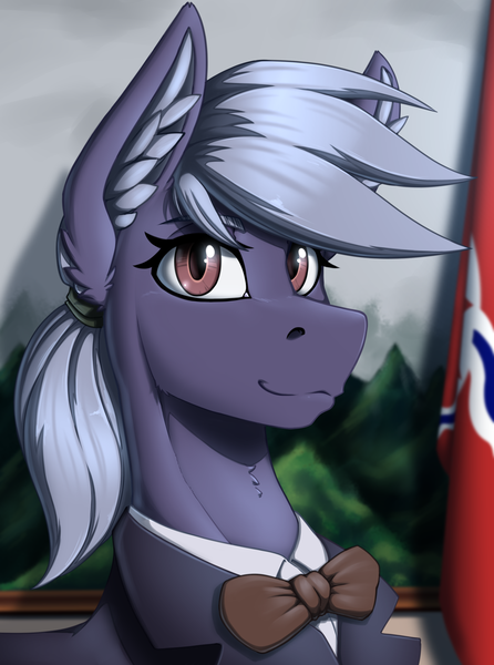 Size: 2000x2692 | Tagged: safe, artist:twotail813, derpibooru import, oc, oc:nova whirl, pony, equestria at war mod, bust, clothes, female, image, looking at you, png, portrait, solo