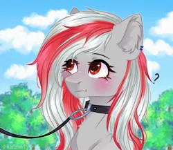 Size: 1770x1534 | Tagged: safe, artist:freyamilk, derpibooru import, oc, oc:skyshard melody, unofficial characters only, pegasus, pony, amused, blushing, collar, commission, cute, ear fluff, ear piercing, female, image, jpeg, leash, mare, pegasus oc, pet, pet play, piercing, question mark, red eyes, red hair, solo, white fur, white hair, wings, ych result